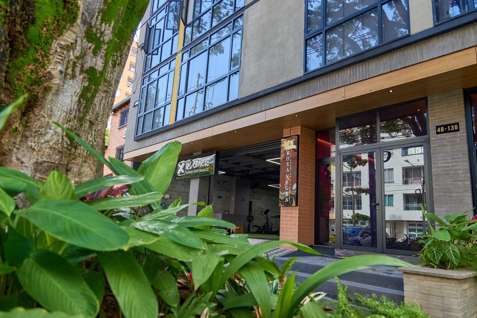 Lejlighed Stadio Haven Rosa Negra Cozy Suite Medellín